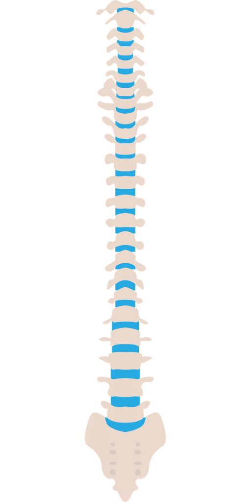 what is spina bifida